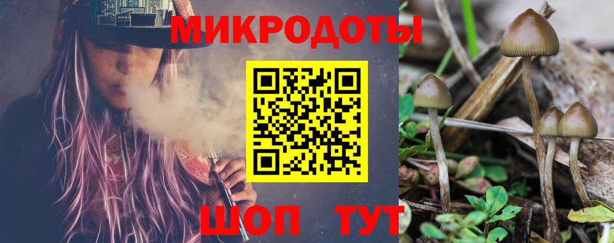 Галлюциногенные грибы GOLDEN TEACHER Карпинск